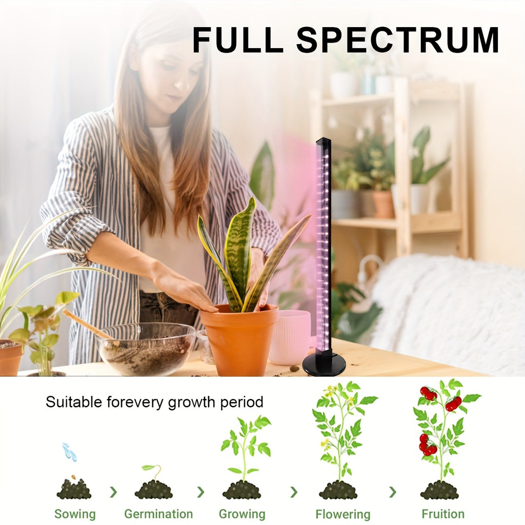 Indoor Full Spectrum Plant Grow Light, USB Desktop Plant Supplement Light, 2/4/8H Auto Timer, Dimmable Brightness, Ideal for Succulents and Small Plants