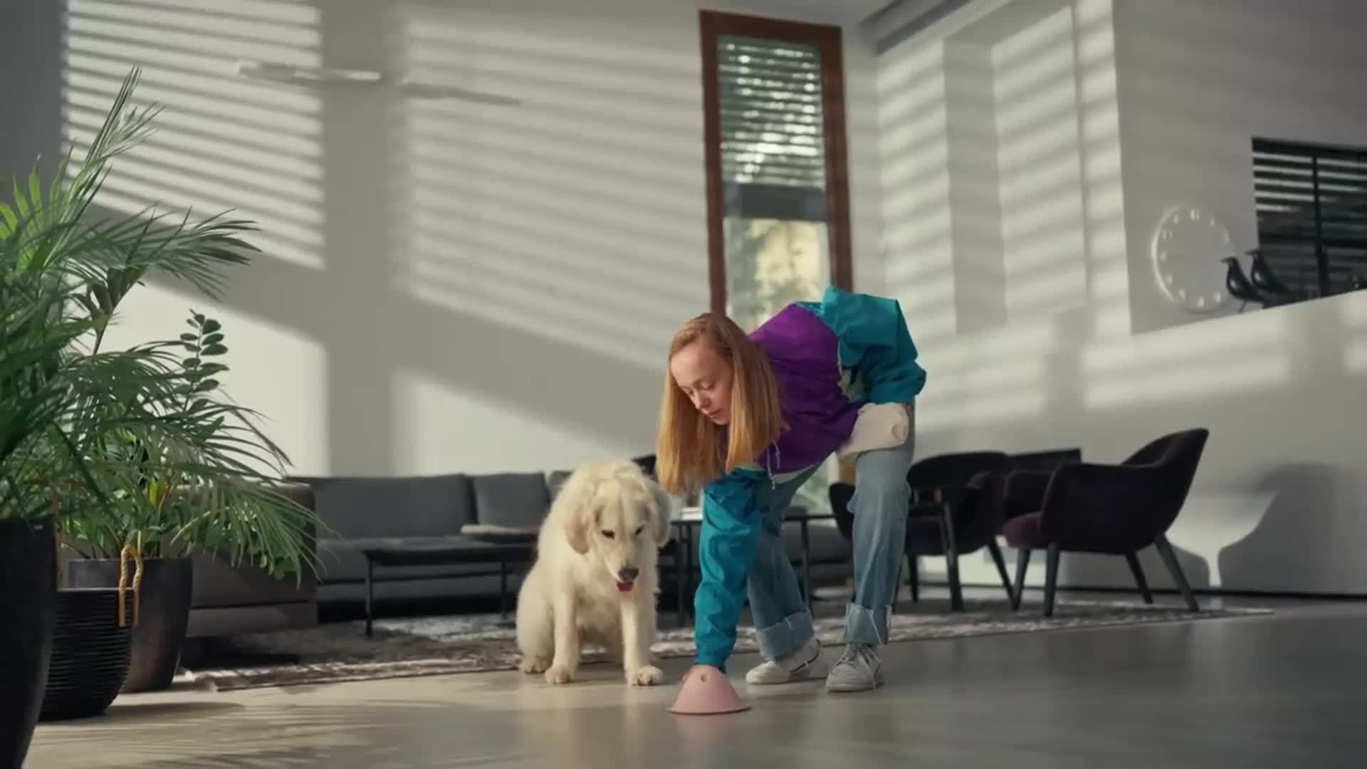 Dog Chew Toys 狗狗互动玩具隐藏食物啃咬玩具 训练狗狗专注力宠物追逐玩具