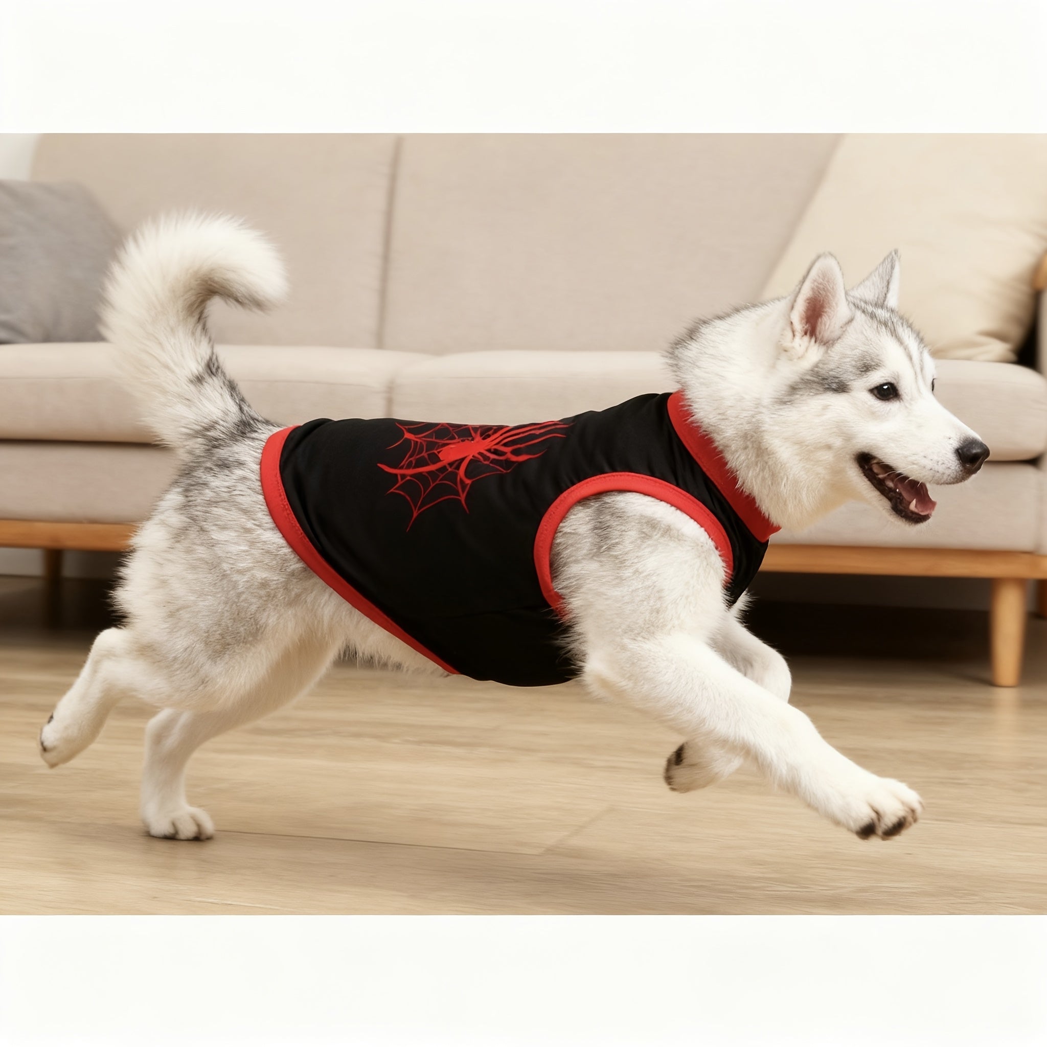 中小型犬四季通用宠物服装——柔软透气不束缚活动，蜘蛛和蝙蝠印花宠物背心，防跳蚤和减少脱毛，室内和室外使用的设计，保温和透气