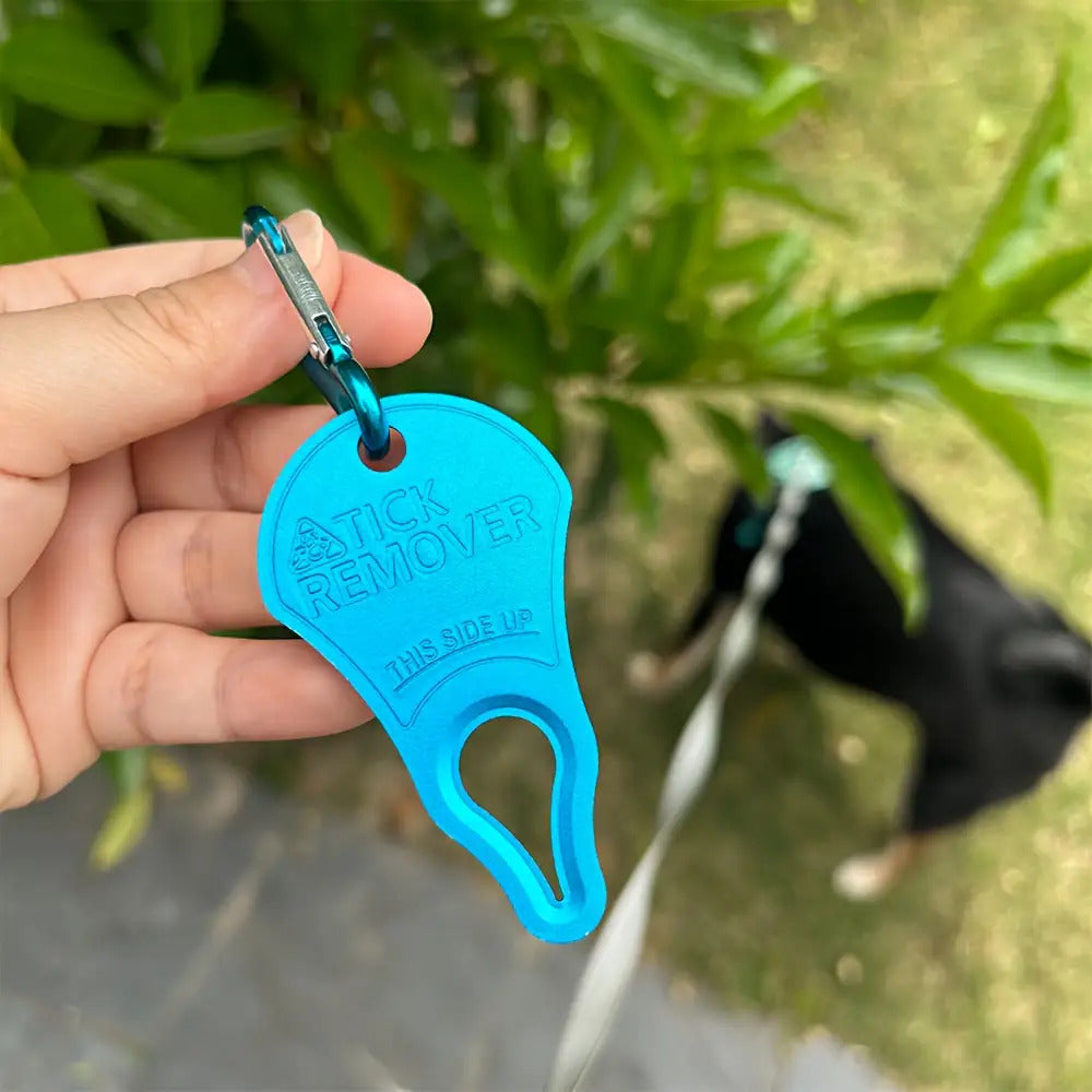 1/3/5套便携式狗用虱子和蜱虫去除工具，带钥匙扣——适用于宠物和人类，户外活动必备，安全快速去除蜱虫，5种颜色可选，适合挂在钥匙或包包上, 快速蜱虫去除器,便携式设计,无毒材料,对宠物安全,蜱虫去除器,携带宠物的旅行者,户外爱好者