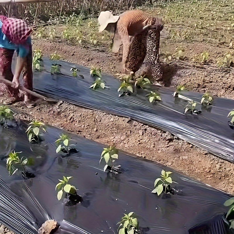 银黑双色地膜 反光塑料膜 种植塑料膜 花园果园菜园保温保湿增温加厚除草地面覆盖物除草保湿地膜，重型除草屏障，保水包肥 减少灌溉用水 节约肥料 花园除草布，适用于花坛、菜园，花园等