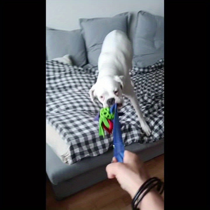耐咬互动狗球配中空绳——坚固防啃咬幼犬玩具，适用于中型犬，适合拔河、解闷及接球游戏