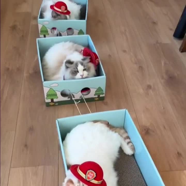 三合一猫抓板与猫屋床玩具——救援车纸板猫爬架，适用于室内猫咪，耐用不掉毛抓挠休闲床，带休息/玩耍空间，纸板猫家具适用于幼猫，送给虎斑猫/普通猫的复活节礼物