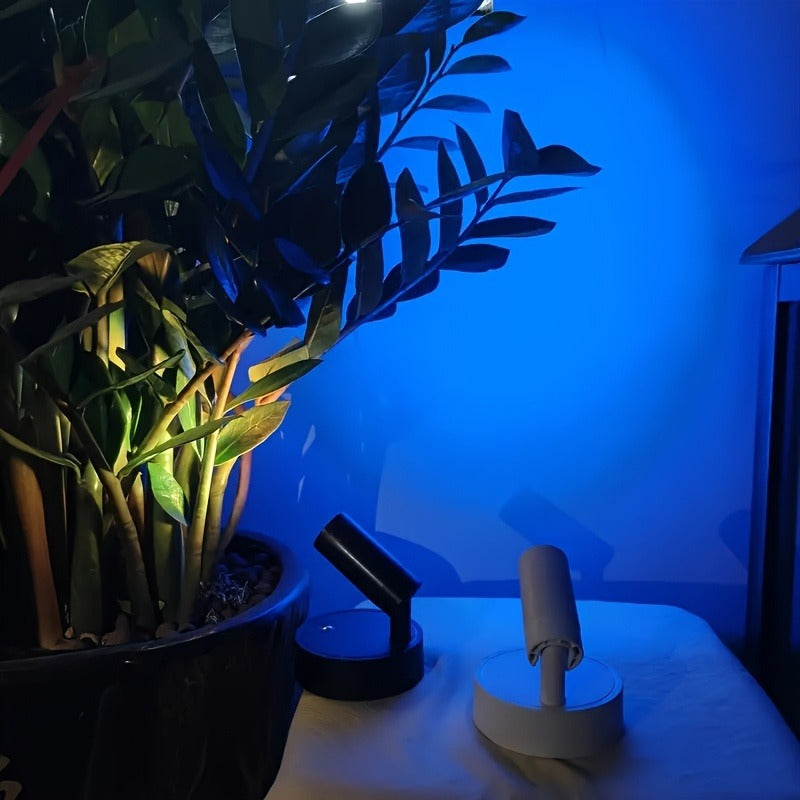 Budget 1-Piece USB-Powered Magnetic LED Spotlight, Adjustable Brightness and Color, Touch Control, 350° Rotation, No-Drilling Installation, Suitable for Indoor Artwork, Painting, Plant Grow Light, Bedroom Bedside, Entryway Ambient Lighting