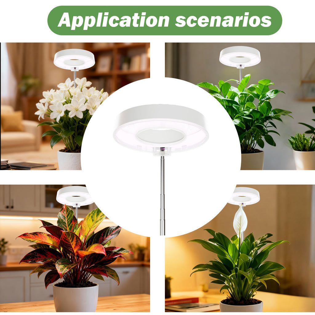 3-Pack Desktop Plant Grow Light for Indoor Plants, 720° Magnetic Full Spectrum Plant Lamp, Adjustable Height, 3/6/9H Timer & Dimmable, Ideal for Kitchen Herb Growing, White