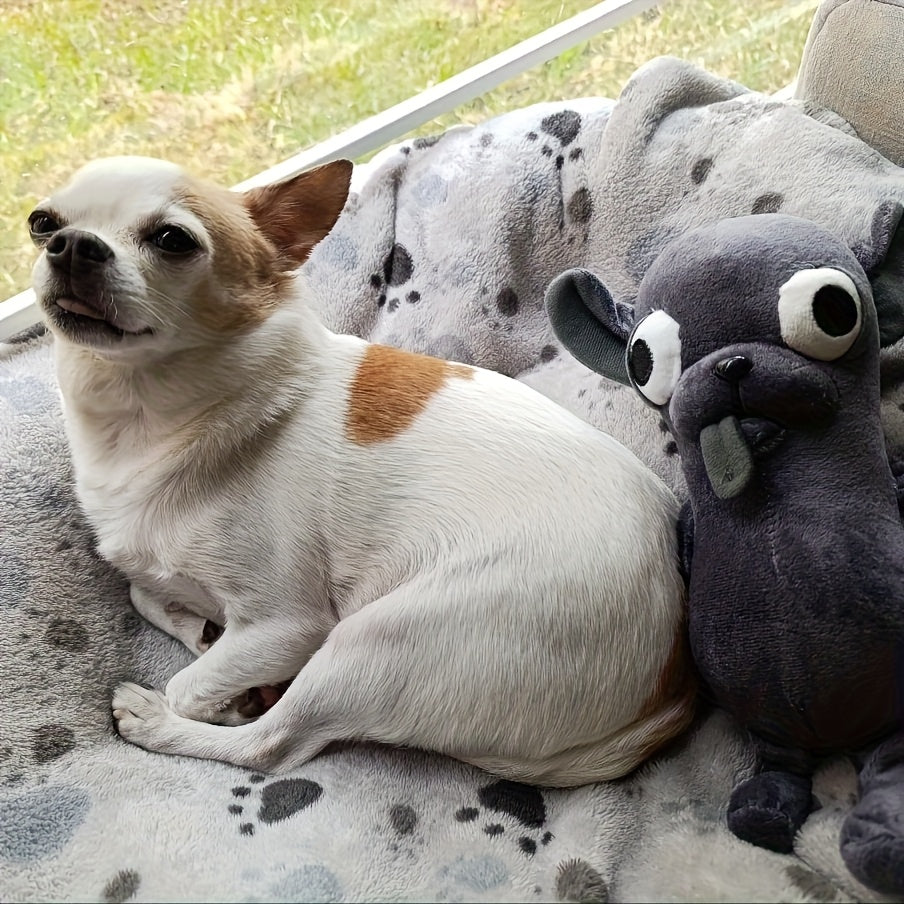 狗狗啃咬毛绒玩具 - Chihuahua设计，柔软蓬松，带大眼睛和蓬松的耳朵，适合所有品种的可爱狗狗，耐用的填充动物，送给爱狗人的礼物，狗狗毛绒玩具，舒适的宠物配件，俏皮的设计，高级毛绒材料，送给狗狗的圣诞礼物