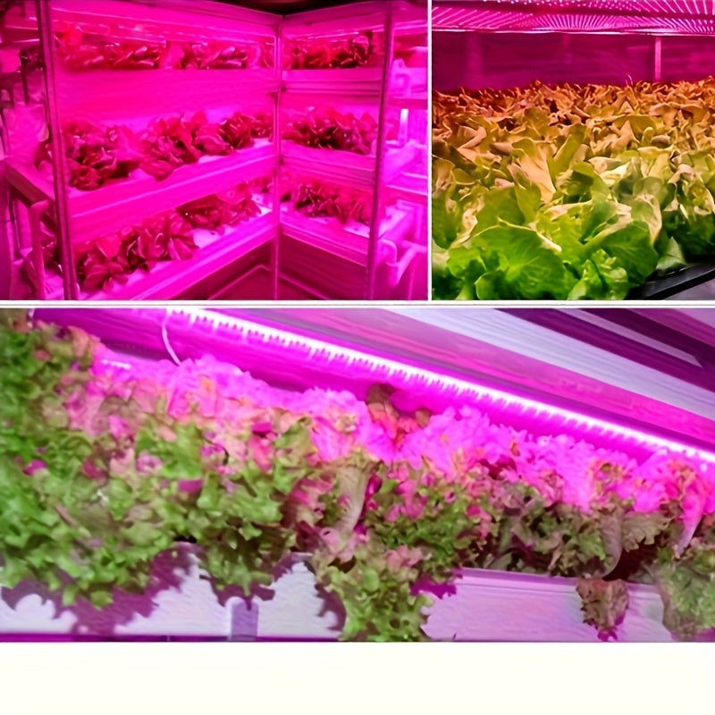 Full Spectrum LED Plant Grow Light, USB Powered UV Grow Lamp for Indoor Seedlings, Non-Greenhouse Plant Lighting