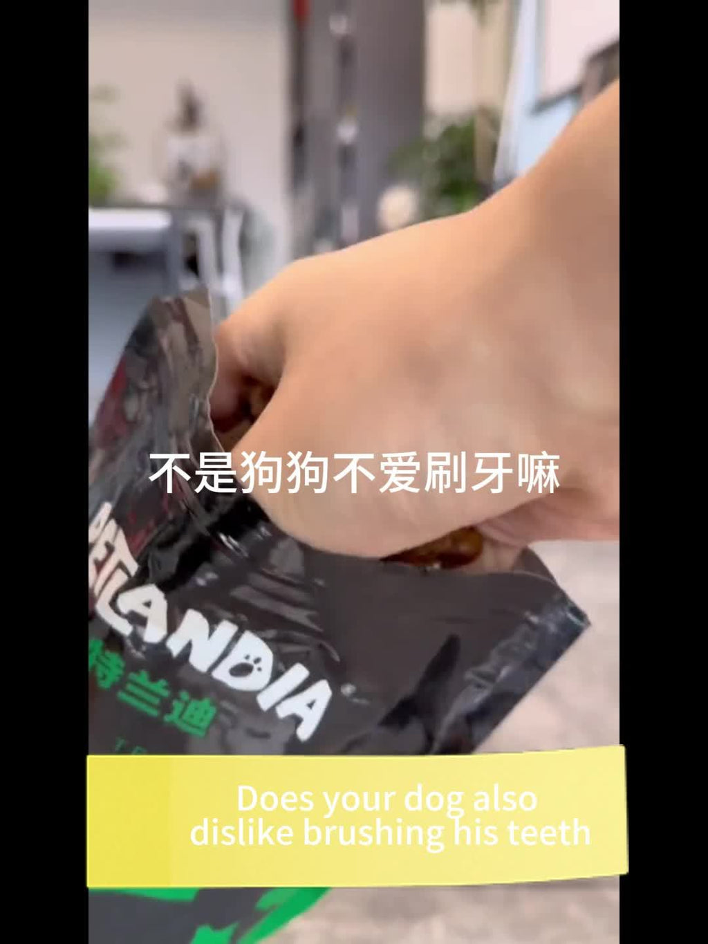 二十支装狗狗磨牙棒宠物玩具 - 全品种和尺寸，洁牙骨，牙齿健康咀嚼玩具 - 图案材质，耐用且安全，适合所有犬种，狗狗磨牙棒
