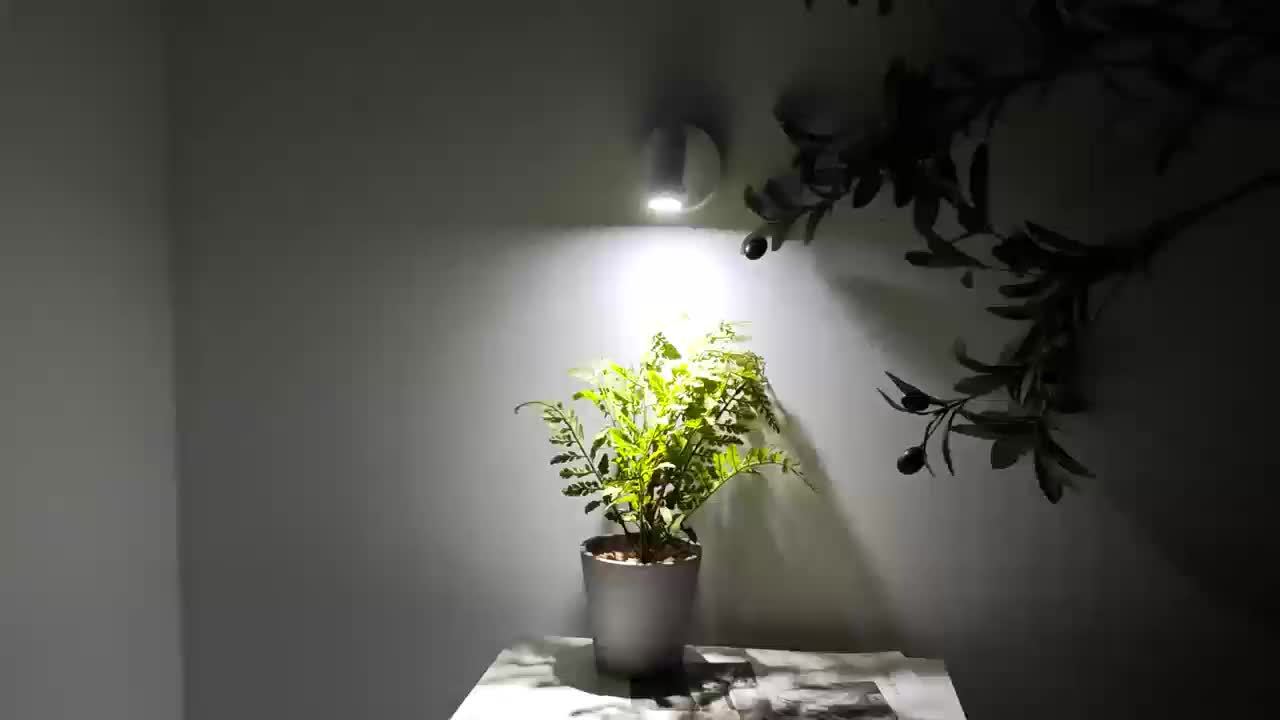 室内聚光灯，办公照明具备三色调亮度可调及焦距可调功能，适用于植物图像与艺术墙饰