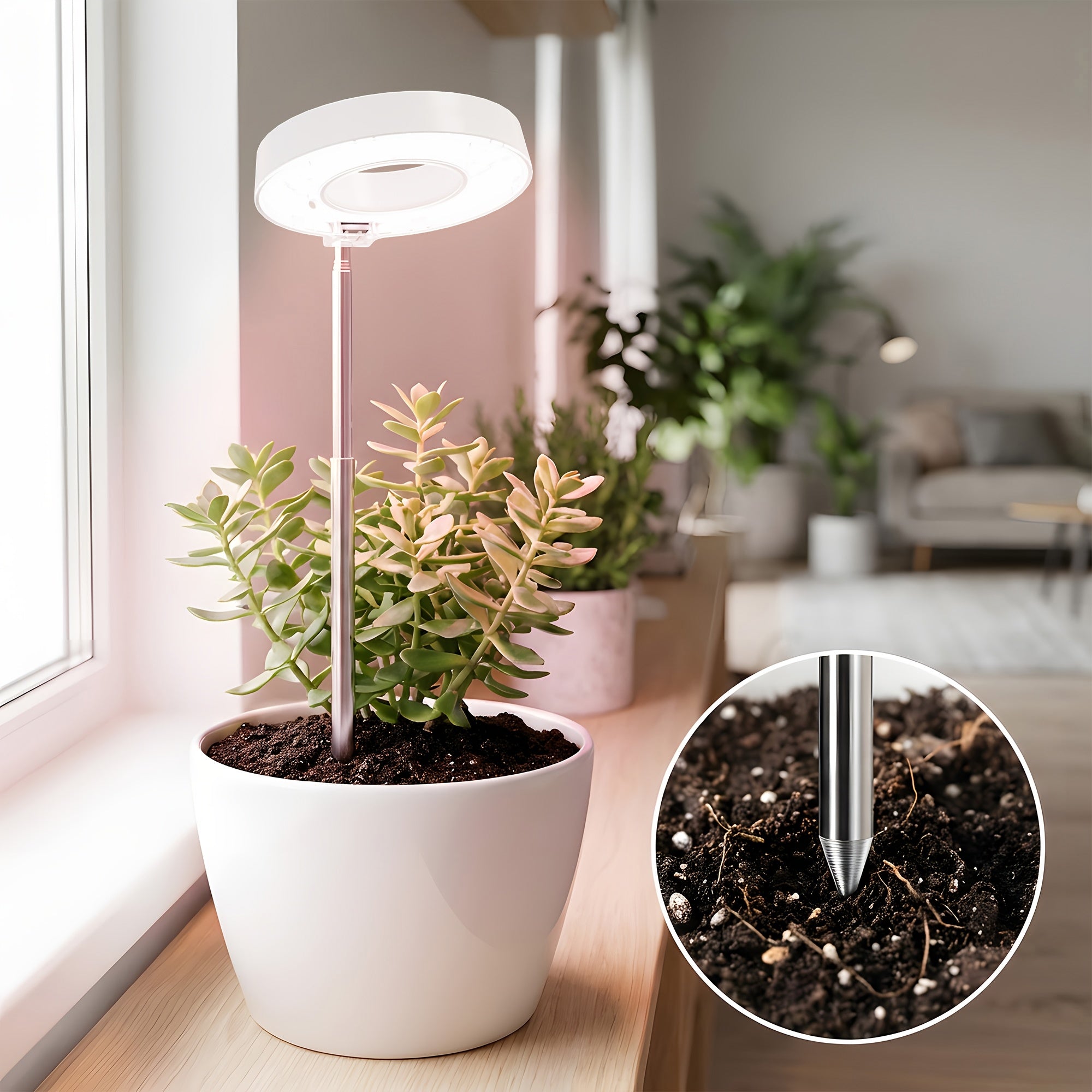 3-Pack Desktop Plant Grow Light for Indoor Plants, 720° Magnetic Full Spectrum Plant Lamp, Adjustable Height, 3/6/9H Timer & Dimmable, Ideal for Kitchen Herb Growing, White
