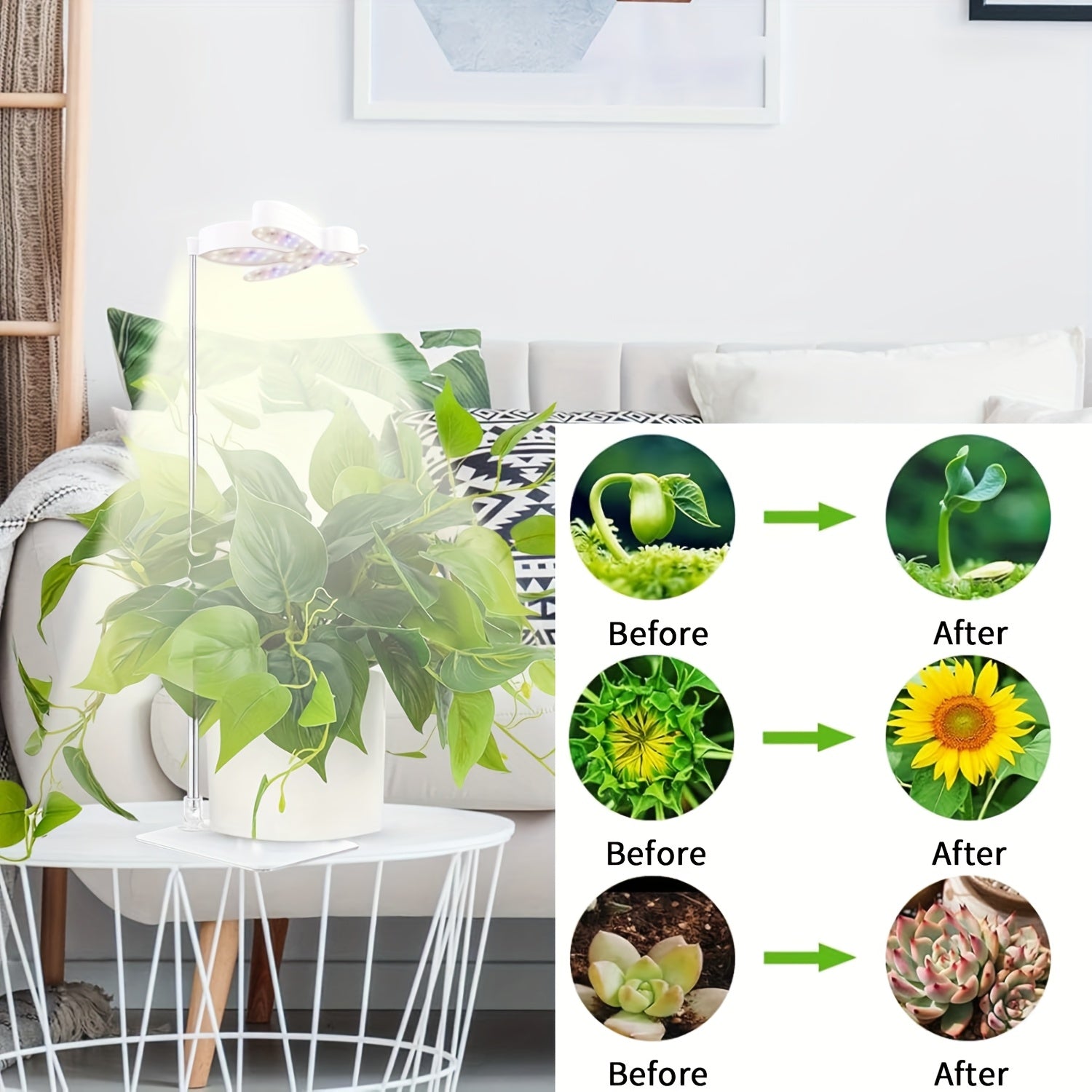 Cute Bee Shaped Plant Grow Light, 5 Brightness Levels & 4 Timer Options, Height Adjustable, Available with Ground Stake or Acrylic Stand