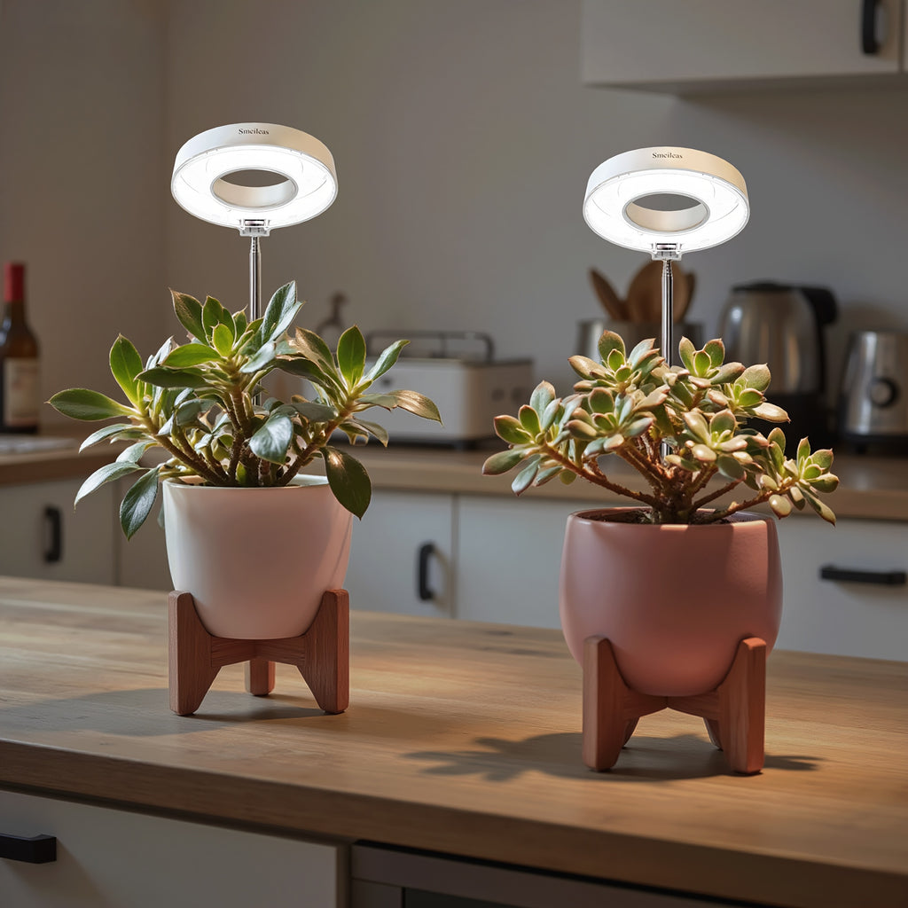 2-Pack Modern Full Spectrum Indoor Grow Light, 720° Rotatable Magnetic Lamp Head, 3/6/9H Auto Timer, 4 Dimmable Levels, Height Adjustable, Ideal for Small Indoor Potted Plants & Gardening Enthusiasts