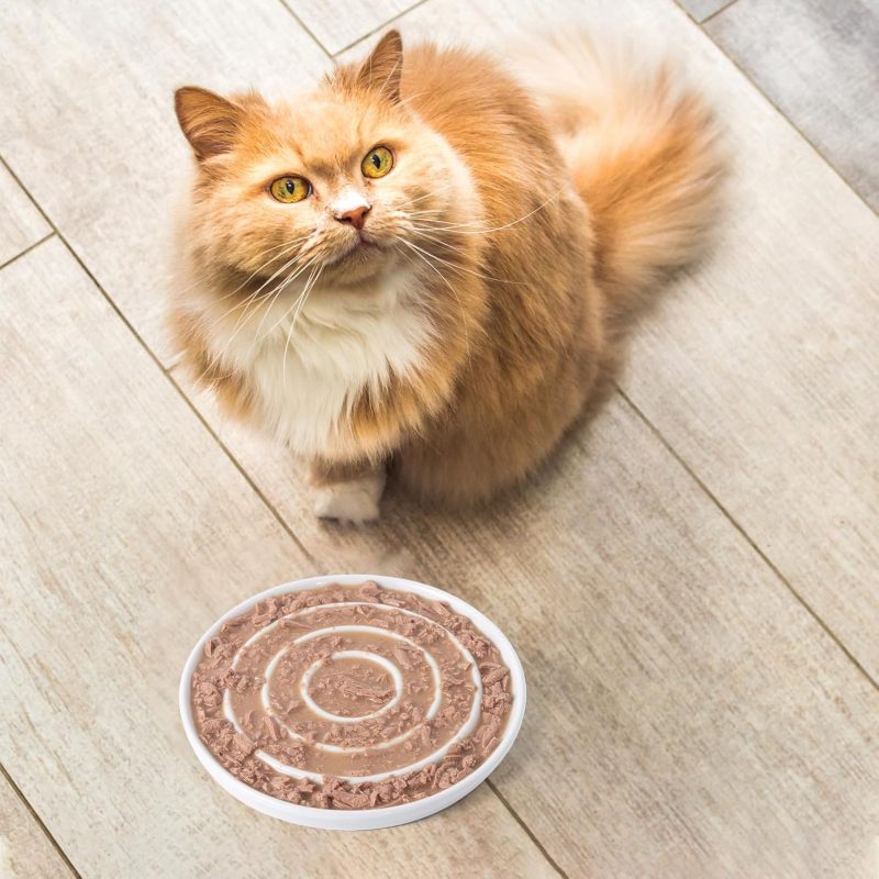 陶瓷缓食猫碗带迷宫设计与慢食碟 - 触须友好型食盆，适用于干湿粮，猫咪益智喂食器，陶瓷猫碗助力缓慢进食习惯与精神刺激