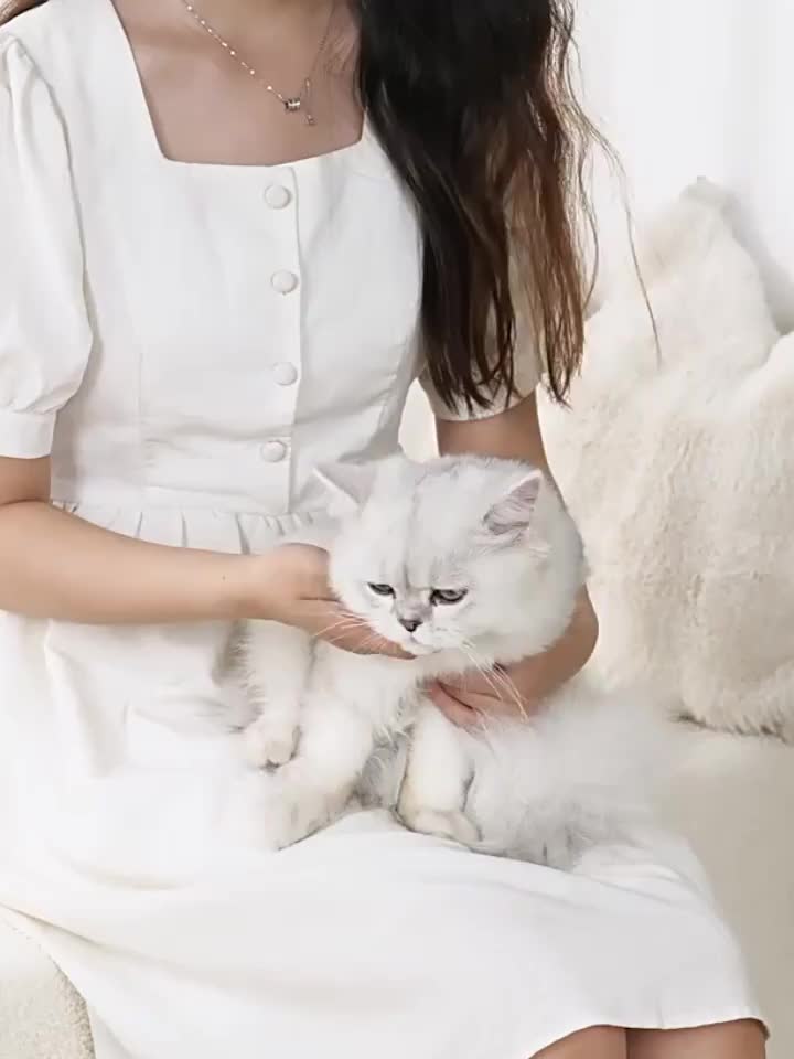 两件套（发梳+指甲刀）猫咪宠物梳子，猫狗悬浮毛梳，驱蚤防虫梳，密齿梳去除螨虫，可折叠设计，适用于长毛和短毛猫，专业猫爪剪
