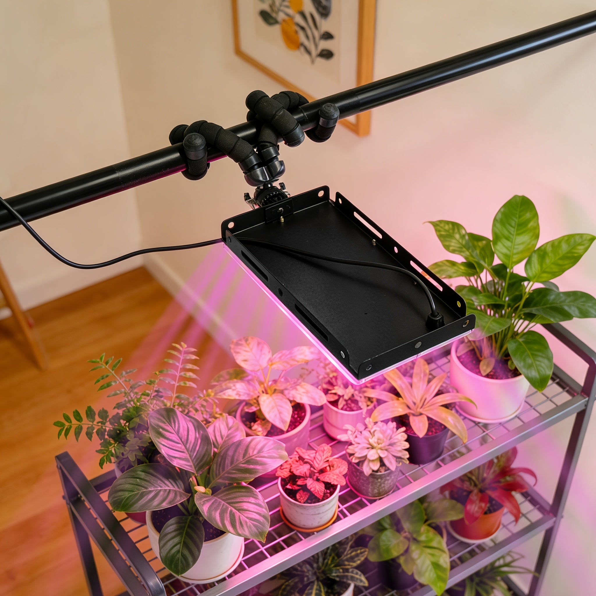 Full Spectrum Plant Grow Light, 50 LED Beads, 5V USB Powered with Flexible 3-Claw Bracket, Multi-Angle Adjustable, 1.5M Switch Power Cord Included, Accelerate Plant Growth, Ideal for Greenhouse, Nursery and Home Gardening