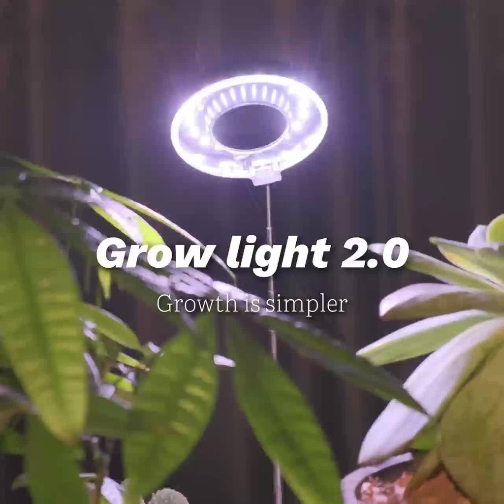 2-Pack Indoor Full Spectrum Grow Light, Retractable Lamp Pole, Stable Base, 720° Rotatable Lamp Head, 4 Brightness Levels, 3/6/9H Auto Timer, Ideal for Small Indoor Potted Plants and Seedlings