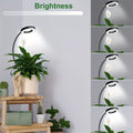 USB full spectrum plant grow light, LED grow light, indoor sunlight simulation grow light, suitable for indoor succulents and small plants, promotes plant growth, soil-insertion grow light, adjustable height and brightness, with automatic 3H/9H/12H timer
