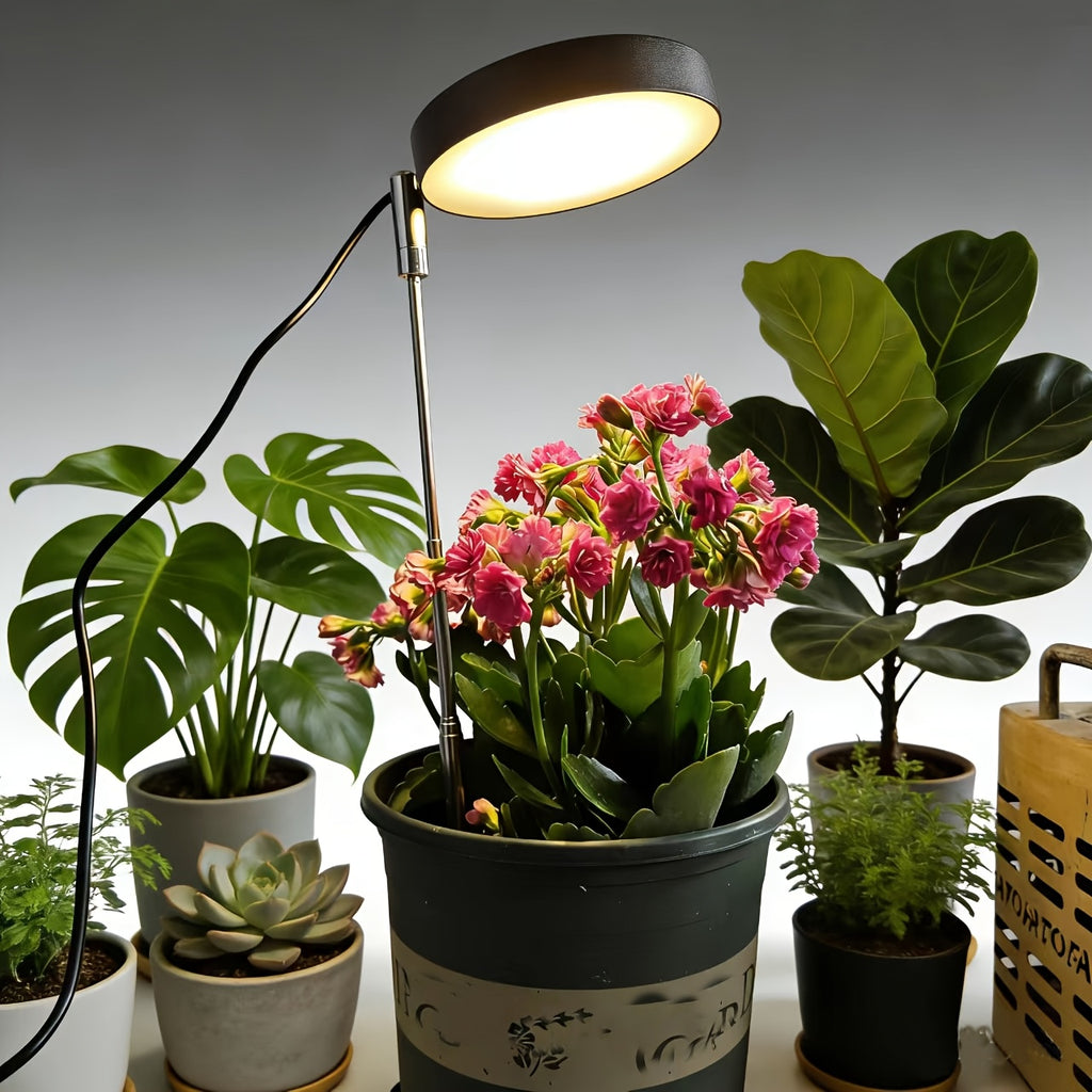 New USB Plant Grow Light, 3.74 Inch Wide Head, Height Adjustable, Multiple Lighting Modes Including Warm White and Yellow Light, Stepless Dimmable Brightness, Ideal for Potted Plants in Multiple Indoor Rooms
