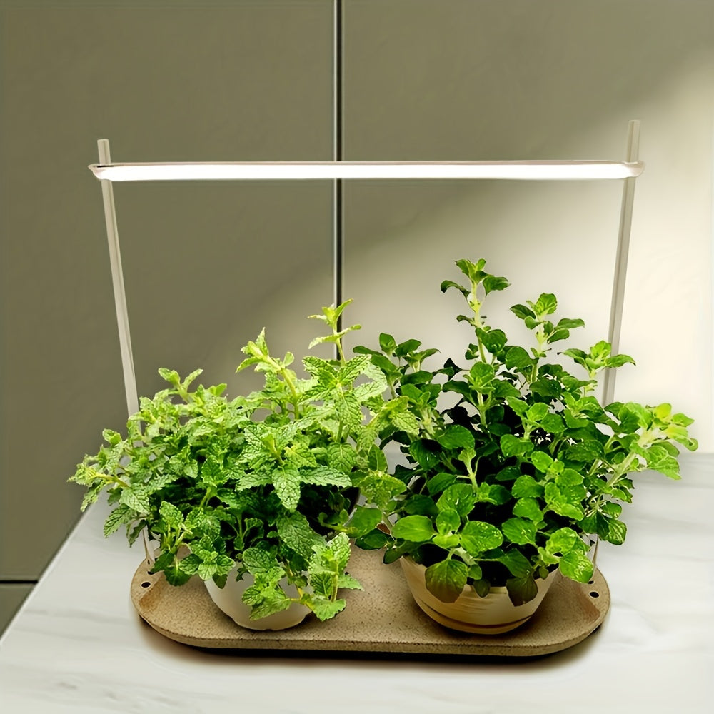 植物生长灯定时开关LED光束单头/双头/三头带托盘款光照植物养护室内多肉上色灯植物补光灯易安装USB供电