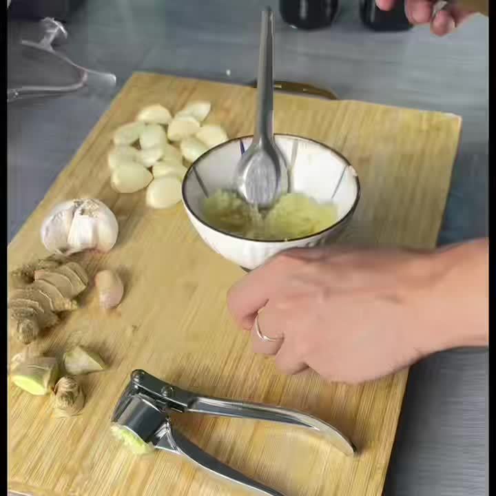 One Premium Stainless Steel Garlic Press - Easy Garlic Mincer & Ginger Crusher, Easy-to-Clean Kitchen Tool, Durable Garlic Chopper for Everyday Cooking