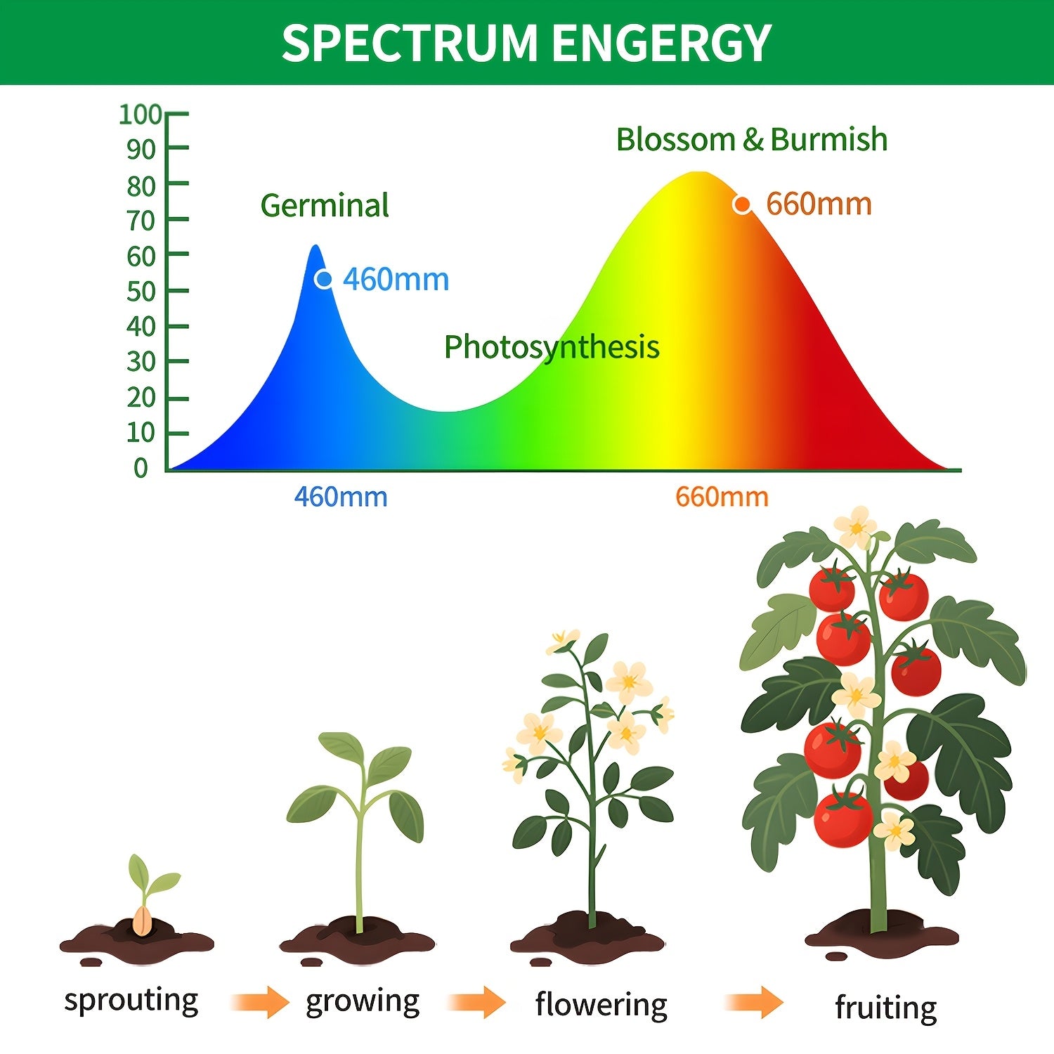 Smart gardening LED plant light, adjustable light source plant grow light, multi-angle clip design, timer function, universal for flowers