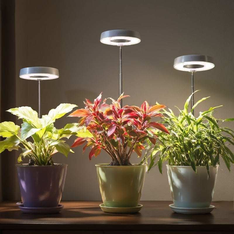 1-Pack High Quality LED Plant Grow Light, Adjustable Full Spectrum USB Powered Grow Lamp for Small Indoor Potted Plants, Foliage Plants & Home Use