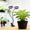 Full Spectrum Potted Plant Light, Red & Blue LED Grow Light, Clip-on Plant Strip with Dimmable & Timer Function, Ideal for Succulents & Garden Potted Plant Supplement Lighting