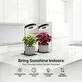 2-Pack Indoor Plant Desk Grow Light with Base, 720° Magnetic Rotatable Full Spectrum Lamp Head, Height Adjustable, 3/6/9H Timer & Dimmable, for Seedlings, Black