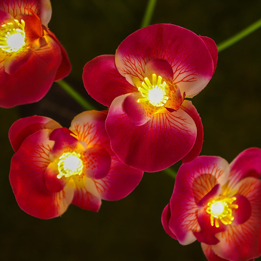 Phalaenopsis Solar Light Outdoor Decoration - Smart Sensor Automatic Brightness Adjustment, Garden Path Courtyard Lighting, Perfect Holiday Gift