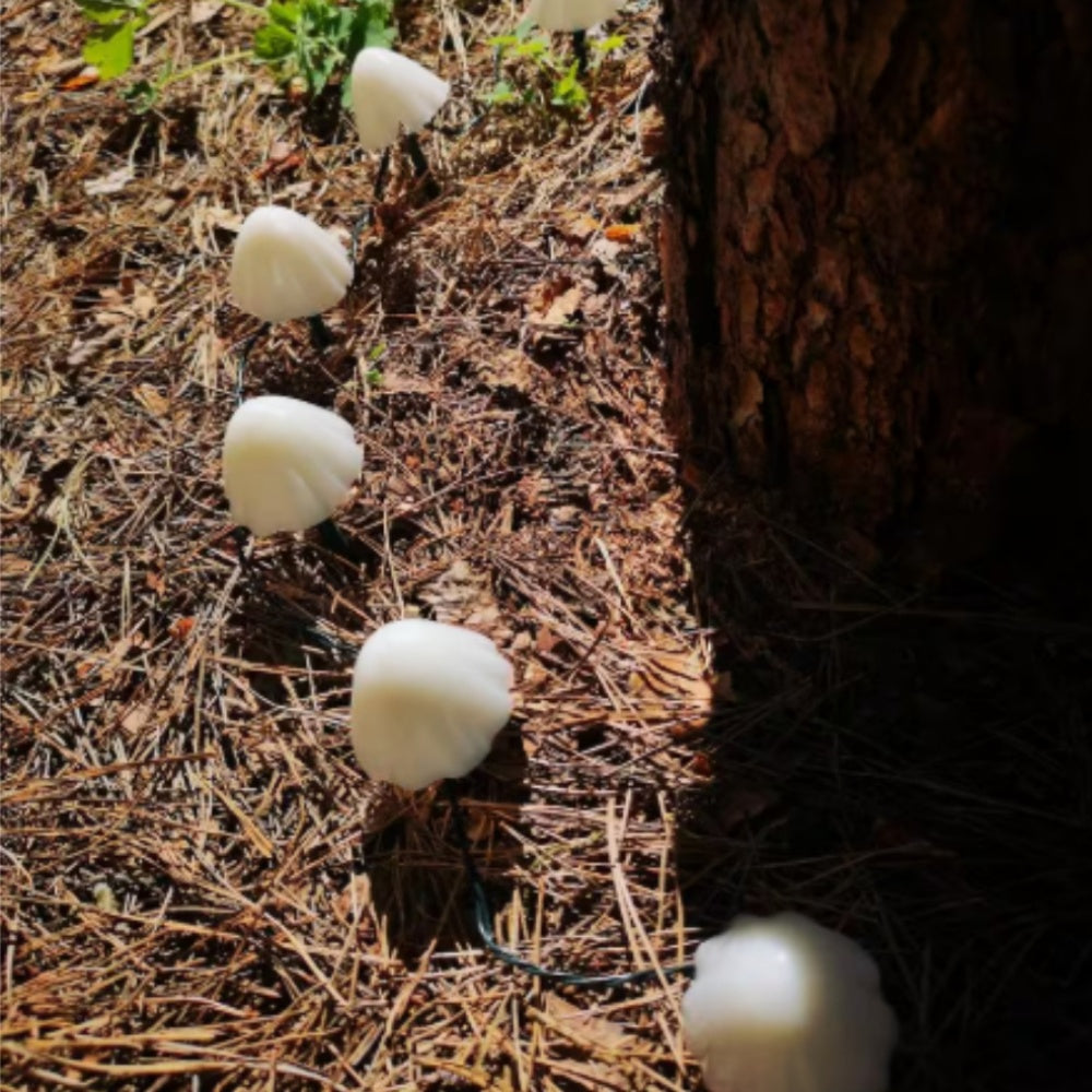 Outdoor Solar Mushroom Light Garden Decoration, Mushroom Shape, 8 LED Lighting Options, Plastic Material, Space Theme, Rechargeable Nickel Battery, No Remote Control - Warm White Light, 2026 New Mushroom Light