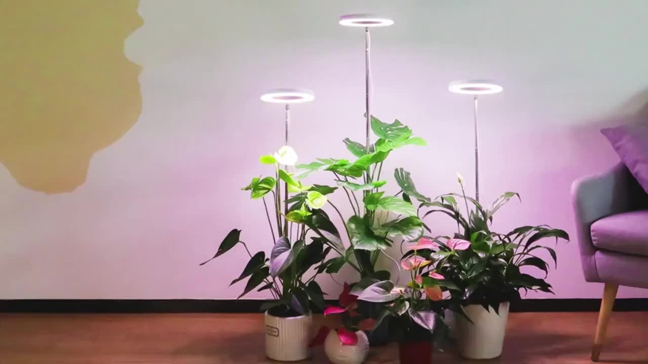 1个装 全光谱 LED 植物生长灯，适用于室内植物，高度可调节，带自动定时器和4种亮度级别可调光 - 低电压操作（低于36V）植物灯，适用于迷你盆景、香草、多肉植物、幼苗
