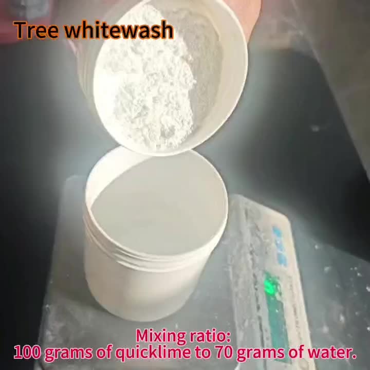 1件 65克/0.14磅 氢氧化钙（熟石灰），用于树木粉刷和墙面批荡