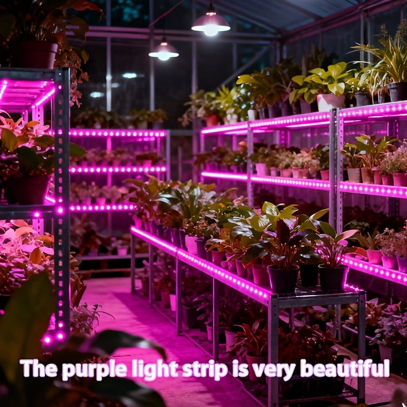 室内植物全光谱LED生长灯带 - 粉紫色，
