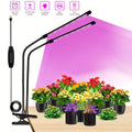 1 Pack LED Plant Grow Light Flexible Gooseneck Full Spectrum Dimmable Auto Timer for Indoor Potted Bonsai House Plants
