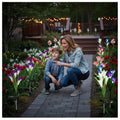 2/4 Pack Solar Outdoor Light, Lily Shape, IP65 Protection Rating, Easy Operation LED Light, Garden Decoration for Patio, Stairs, Courtyard, Platform & Pathway | Valentine‘s Day Decoration / Valentine’s Gift