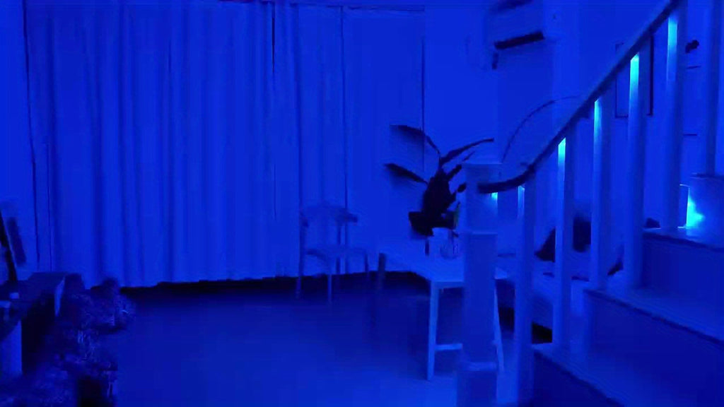 100英尺 RGB LED灯带，带App和遥控器，可同步音乐实现动态颜色变化，非常适合装饰卧室、厨房、派对