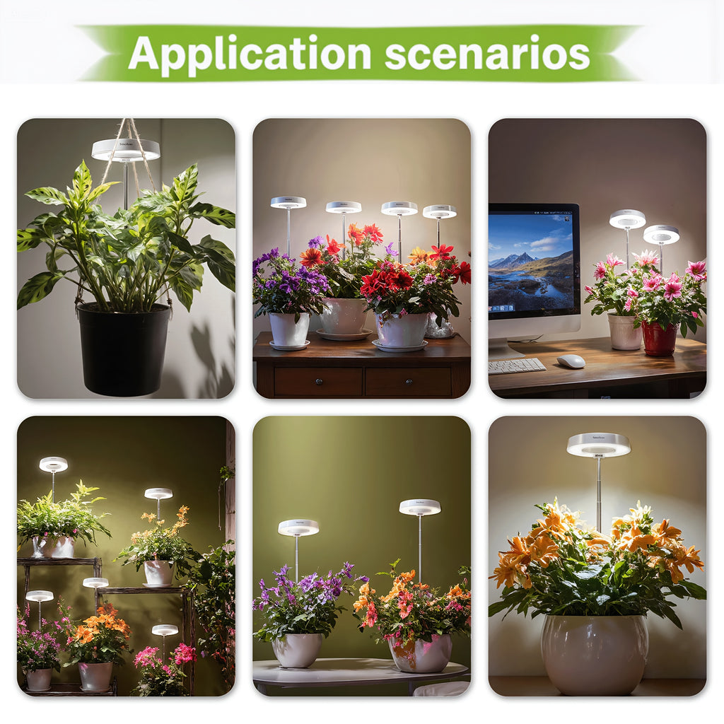 2-Pack Plant Grow Light, Full Spectrum, 3/6/9H Auto Timer, 4-Level Dimmable, Height Adjustable, Ideal for Small Potted Plants, Gardens, Plant Lovers, Perfect as Halloween & Christmas Gift