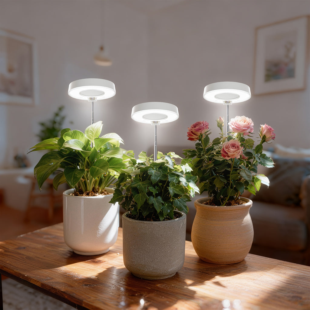 3-Pack Desktop Plant Grow Light for Indoor Plants, 720° Magnetic Full Spectrum Plant Lamp, Adjustable Height, 3/6/9H Timer & Dimmable, Ideal for Kitchen Herb Growing, White