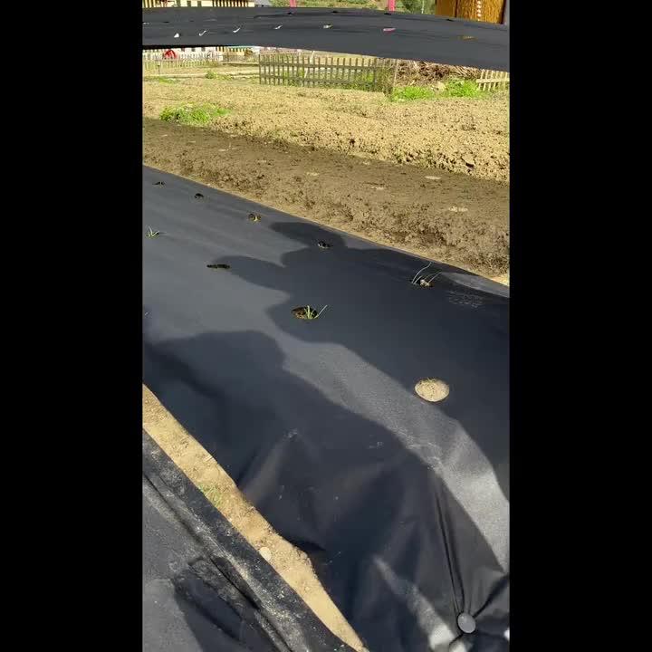 六件套黑色遮阳布，用于农业温室，具有打孔和地钉设计，易于安装。透气，非常适合家庭园艺、草莓和蔬菜种植、果园以及各种其他作物