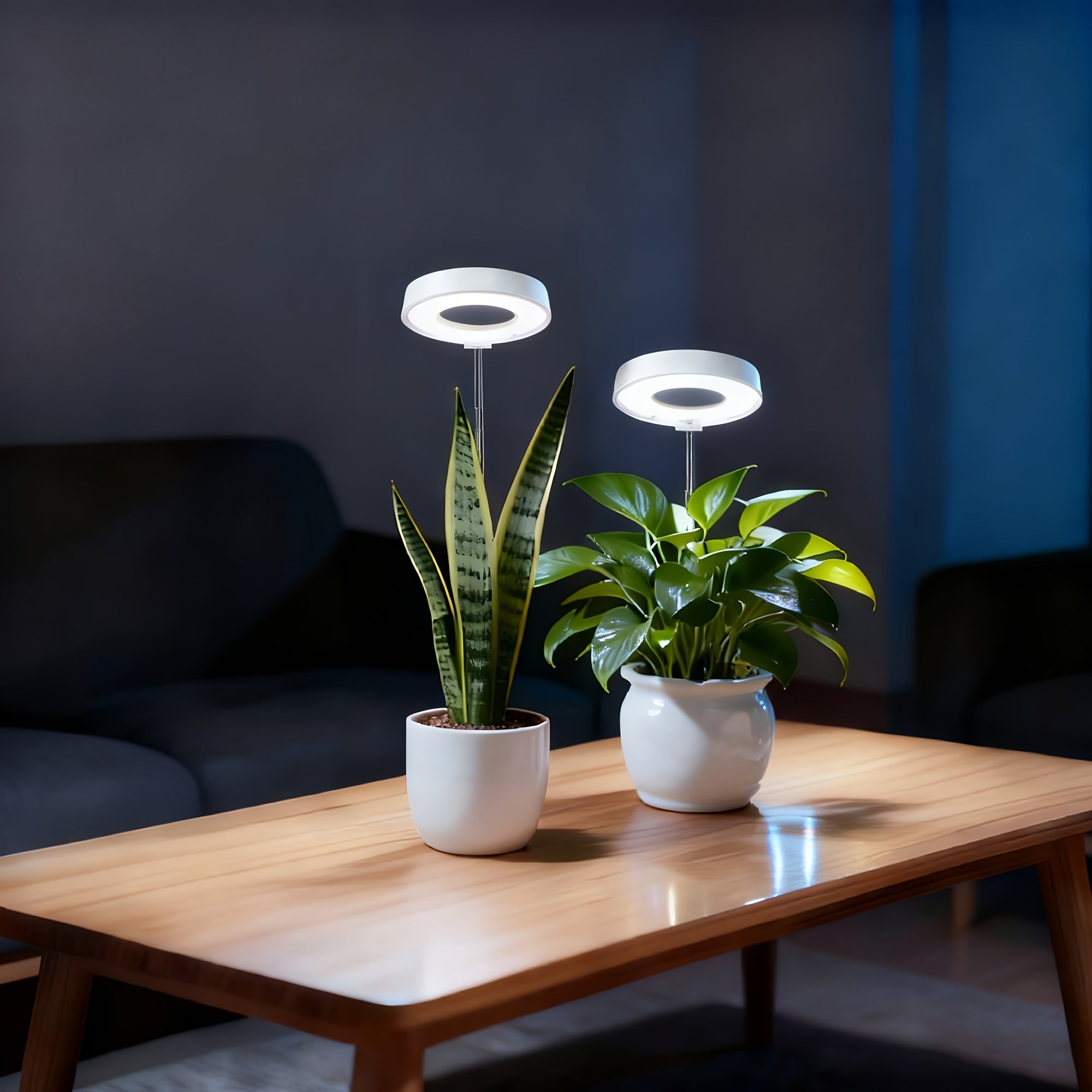 3-Pack Desktop Plant Grow Light for Indoor Plants, 720° Magnetic Full Spectrum Plant Lamp, Adjustable Height, 3/6/9H Timer & Dimmable, Ideal for Kitchen Herb Growing, White
