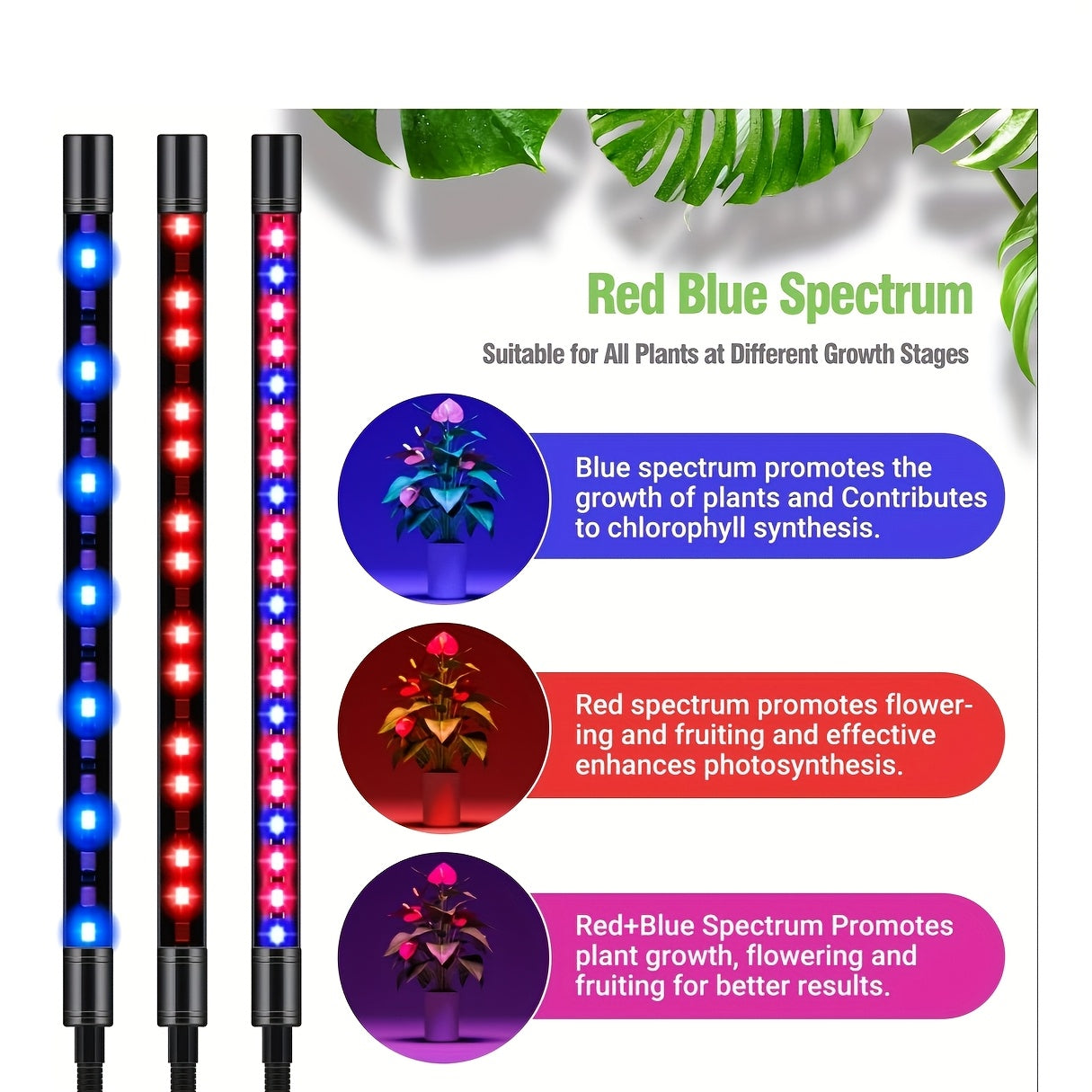 Indoor plant grow light, equipped with 4 heads, with full spectrum capability of red, blue and white light, comes with adjustable tripod ranging from 29 to 61 inches, the light includes a remote control and automatic on/off timer function