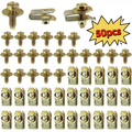 [50-Piece Gold Body Bolt Set] M6 Body Bolts & U-Type Press Nuts (25 Screws + 25 Clips) | Universal Fasteners for Hood, Bumper, Fender, Splash Shield | Rust-Proof Metal Fasteners & Rivet Screws