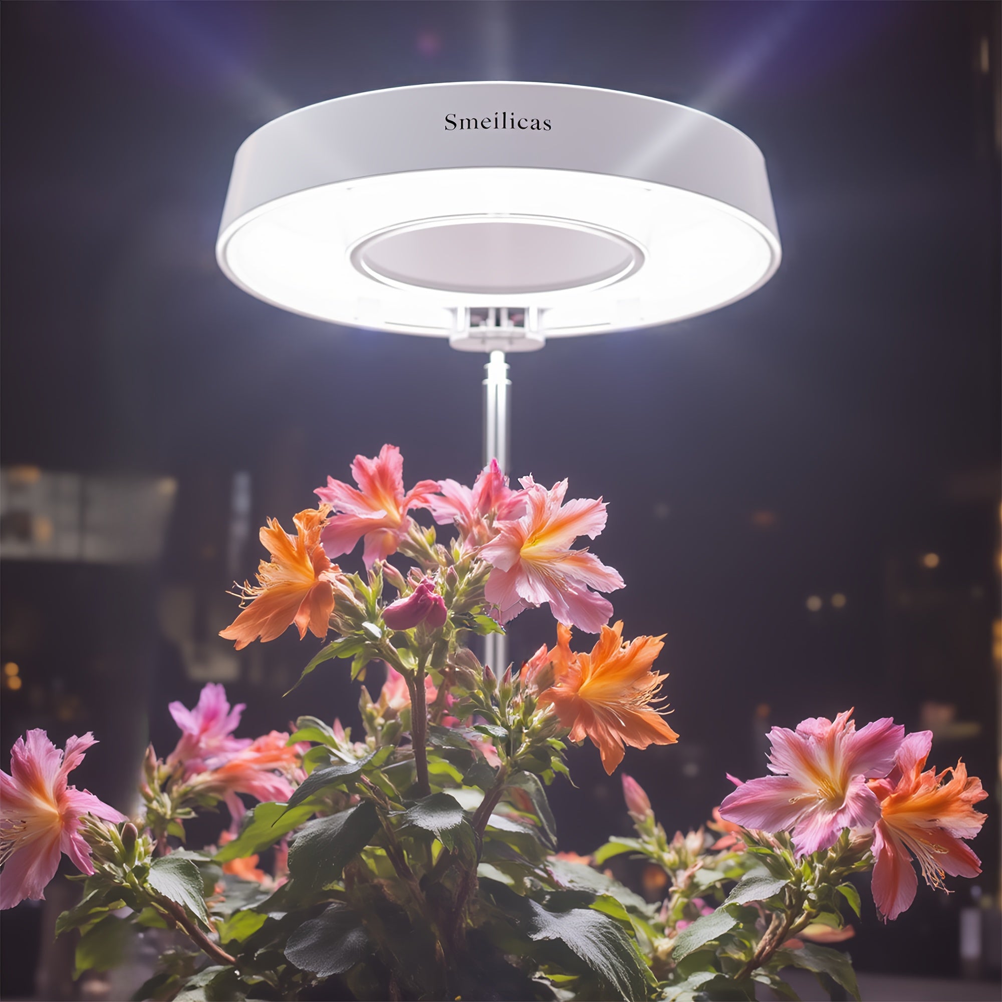 2-Pack Plant Grow Light, Full Spectrum, 3/6/9H Auto Timer, 4-Level Dimmable, Height Adjustable, Ideal for Small Potted Plants, Gardens, Plant Lovers, Perfect as Halloween & Christmas Gift