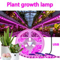 室内植物全光谱LED生长灯带 - 粉紫色，