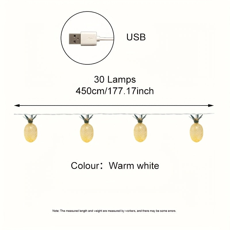 30 燈 17.46 英尺新 LED 鐵藝藝術菠蘿蜜電池/USB 電源串燈，適用於家庭聚會、聖誕節、婚禮和花園裝飾。