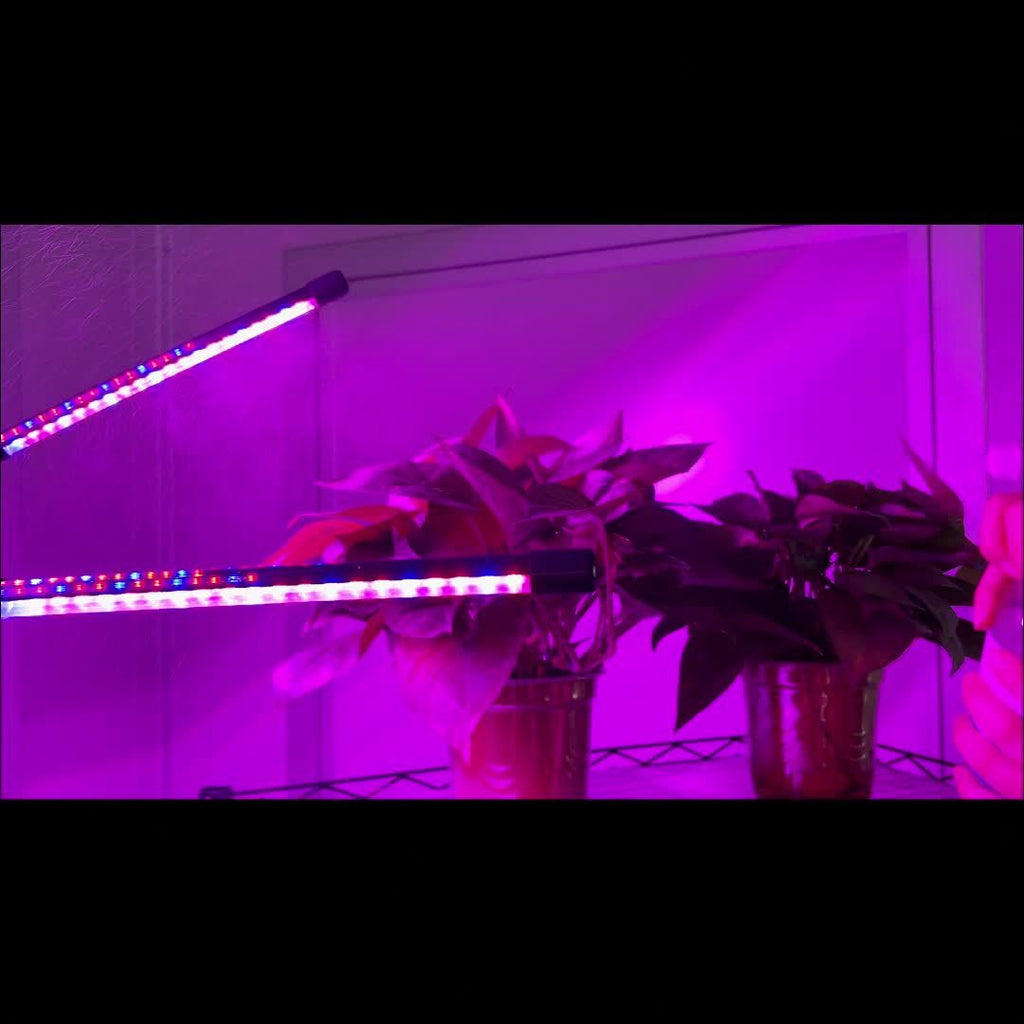 Indoor Plant Grow Light 5-Head Red Blue White Full Spectrum Grow Lamp, 29-61 Inch Adjustable Tripod Stand, Indoor Grow Light with Remote Control & Auto On/Off Timer, Wireless Remote Wired Light