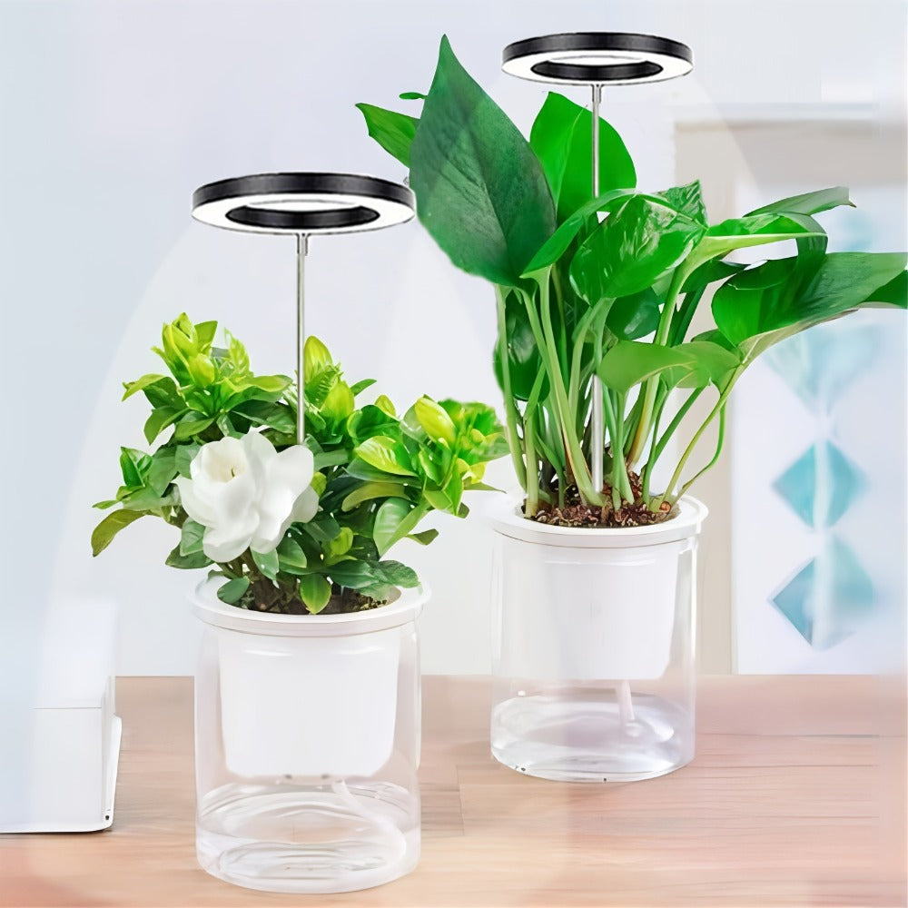 2-Pack LED Plant Grow Light, 3 Color Modes Adjustable Length Up to 63cm/24.8inch, USB Powered, 4-Key Control Switch, 3/9/12H Timer, Lamp Head Diameter 9cm/3.54inch, 10-Level Dimmable Brightness, 48 LED Beads, Super Bright & Wide Lighting Range