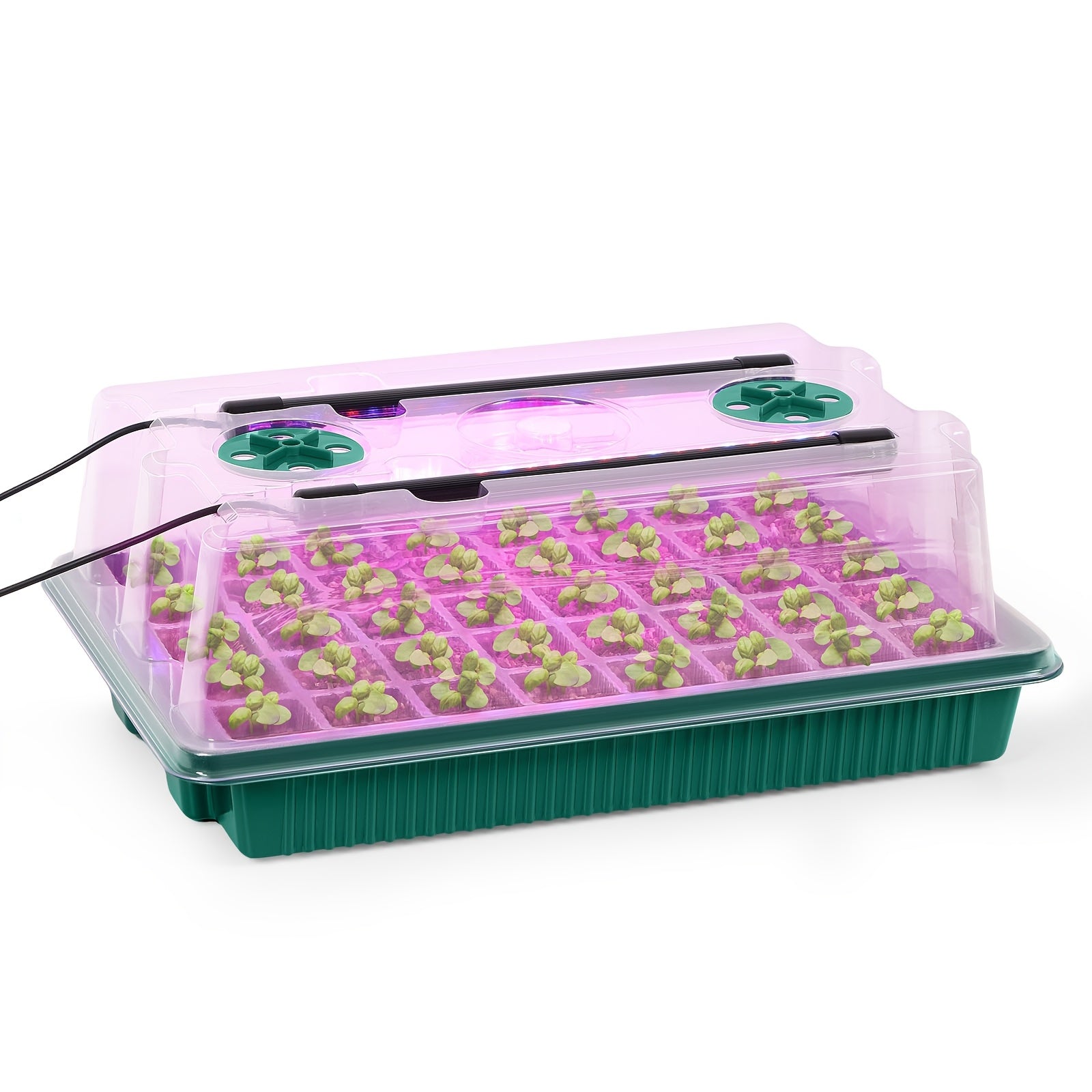 2 Pcs 40-Cell Seed Starter Tray Set with Grow Light | OYEAL Mini Greenhouse, for Seed Growth Germination, USB Powered, Plastic Material