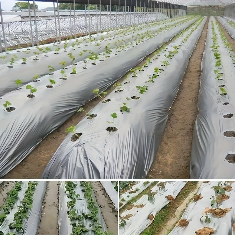 银黑双色地膜 重型防草塑料膜 驱蚜虫防杂草 保水增温促丰收 促进光合作用 用于蔬菜果园草莓大棚种植