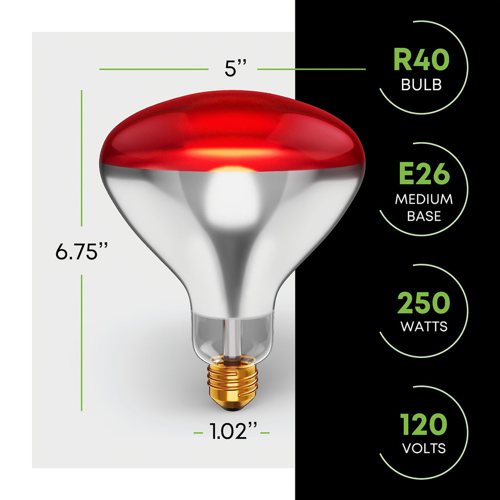 R40 250 watt clear head lamp magnetic reflective bulb, heat flood bulb, E26 standard medium screw base, 120V, 6,000 hours rated life, battery not included